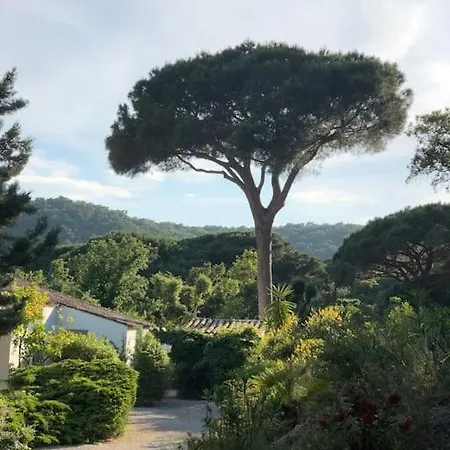 Grand Mas Avec Piscine Sur Ramatuelle-saint-tropez Villa *